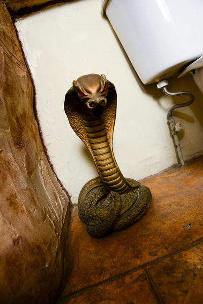 Anthony & Cleopatra Photo 5