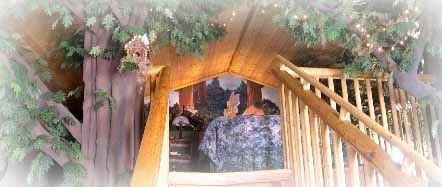 Enchanted Forest Photo 1