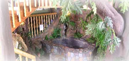 Enchanted Forest Photo 2