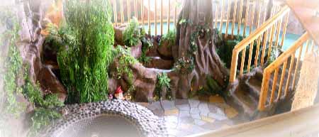 Enchanted Forest Photo 4