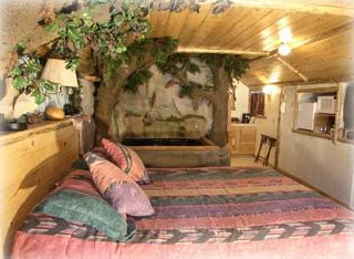 Native Forest Photo 2