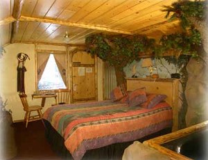 Native Forest Photo 1