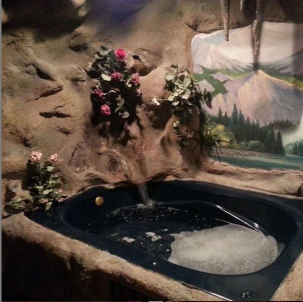 Native Forest Photo 3