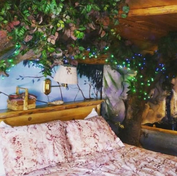 Native Forest Photo 4