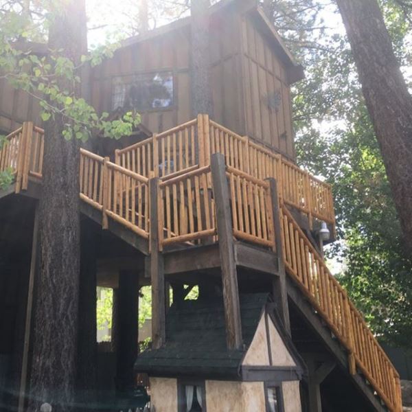 Woodland Tree House Photo 9