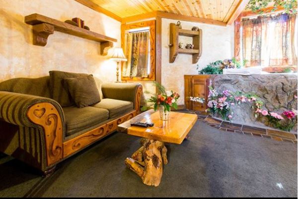 Woodland Tree House Photo 4