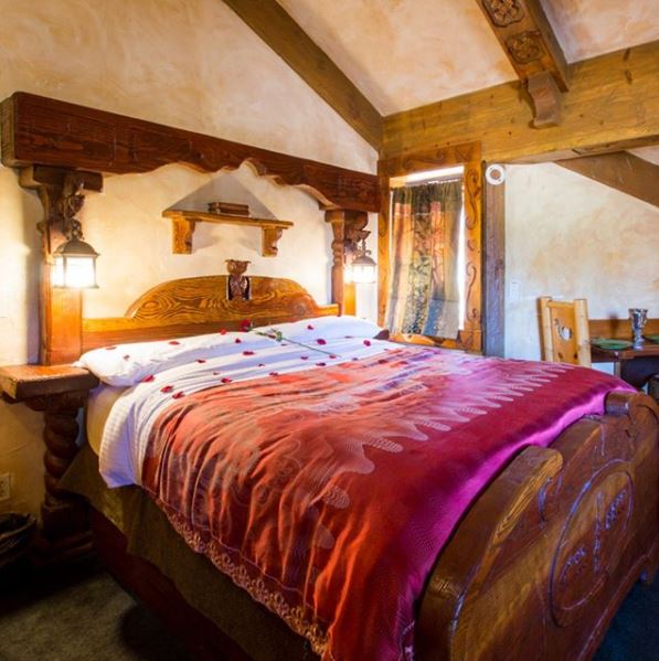 Woodland Tree House Photo 6