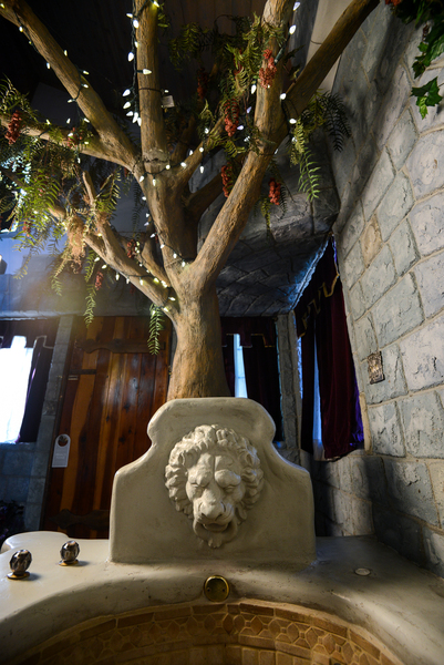 The Castle Garden Photo 10