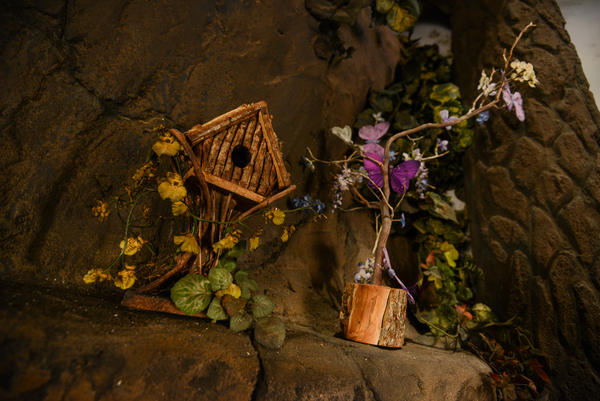 Enchanted Forest Photo 8