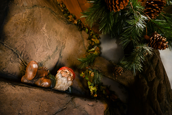 Enchanted Forest Photo 9