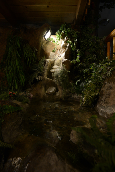 Enchanted Forest Photo 11