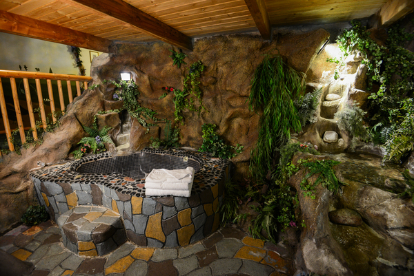 Enchanted Forest Photo 12