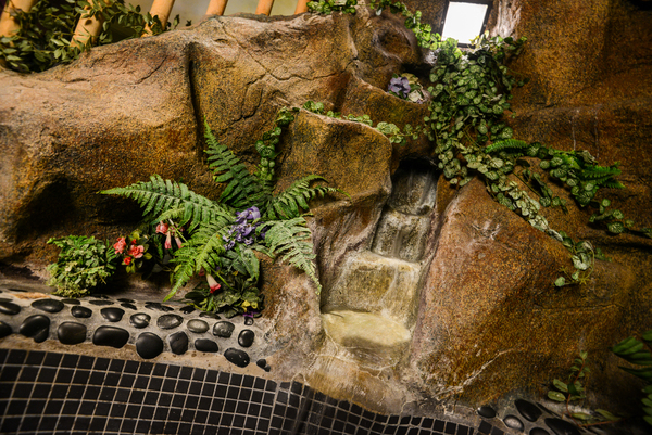 Enchanted Forest Photo 13