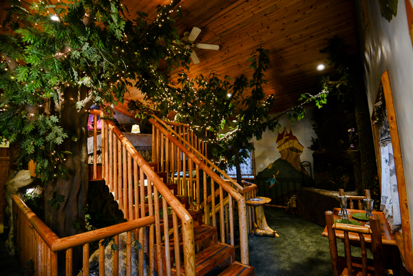 Enchanted Forest Photo 18