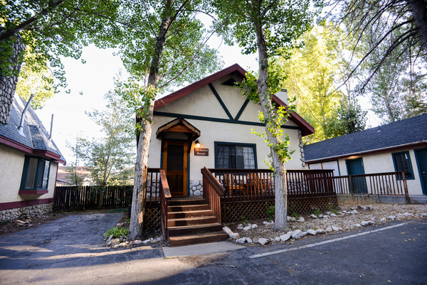 Enchanted Forest Photo 19