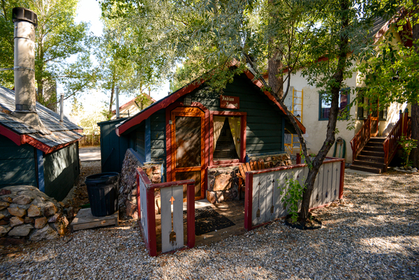 Native Forest Photo 5