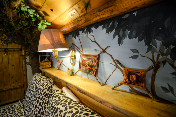 Native Forest Photo 7