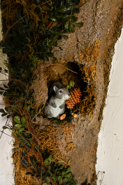 Native Forest Photo 9