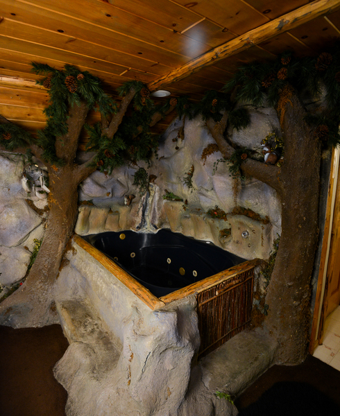 Native Forest Photo 10