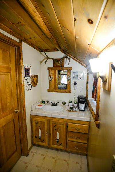 Native Forest Photo 11