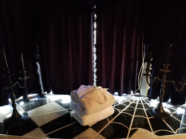 The Haunted Manor Photo 11