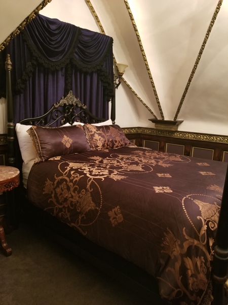 The Haunted Manor Photo 18