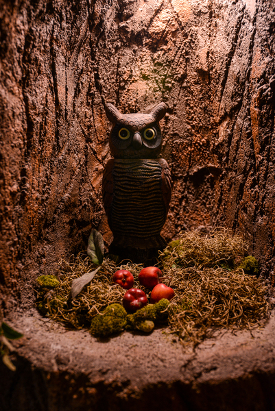 Woodland Tree House Photo 10