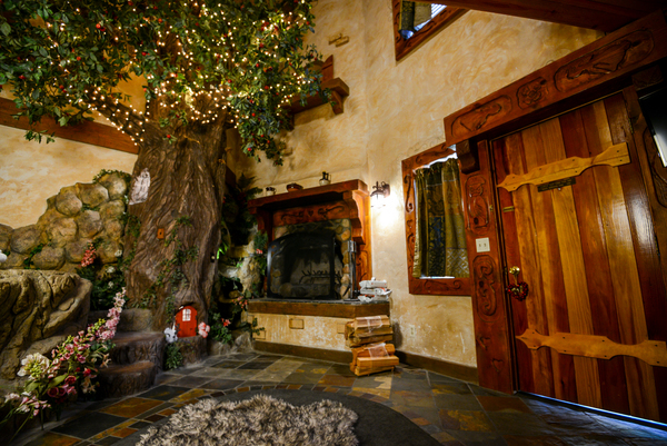 Woodland Tree House Photo 13